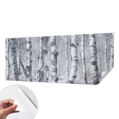 3D fototapeta z motivom zmrznjene narave