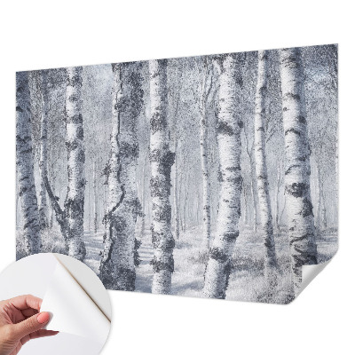 3D fototapeta z motivom zmrznjene narave