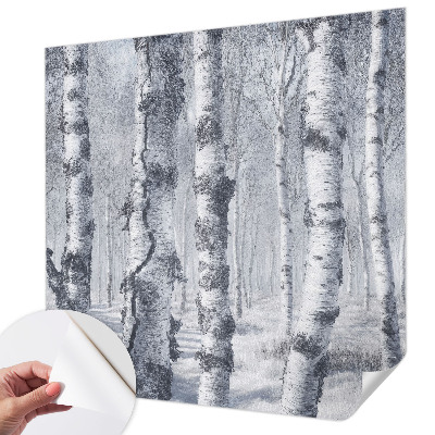 3D fototapeta z motivom zmrznjene narave