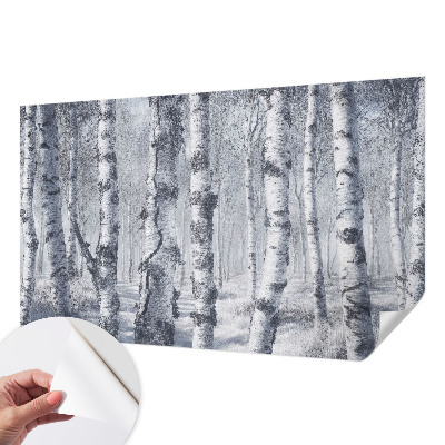 3D fototapeta z motivom zmrznjene narave