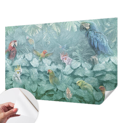 Otroška fototapeta Eksotične ptice