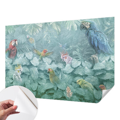 Otroška fototapeta Eksotične ptice