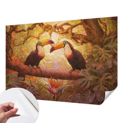 3D fototapeta Barviti tukani