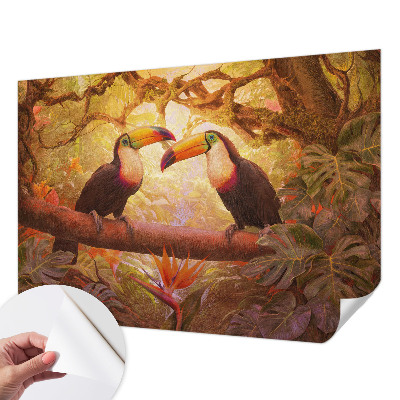 3D fototapeta Barviti tukani