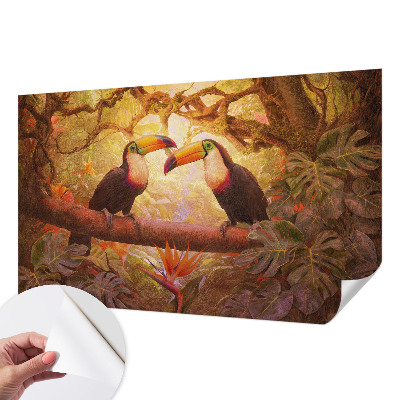 3D fototapeta Barviti tukani