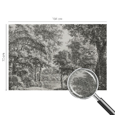 Samolepilna fototapeta za spalnico z motivom gozdne pokrajine