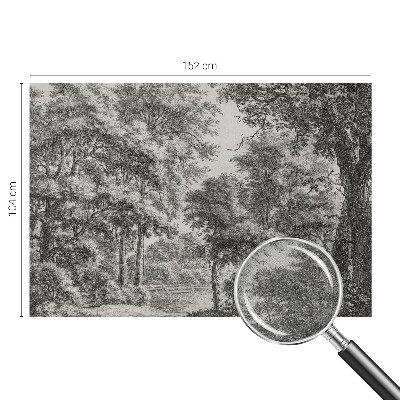 Samolepilna fototapeta za spalnico z motivom gozdne pokrajine