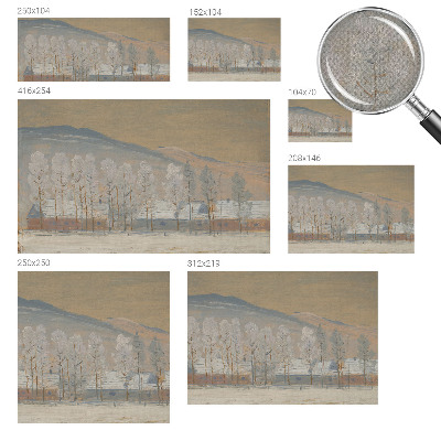 3D fototapeta Zimska pokrajina