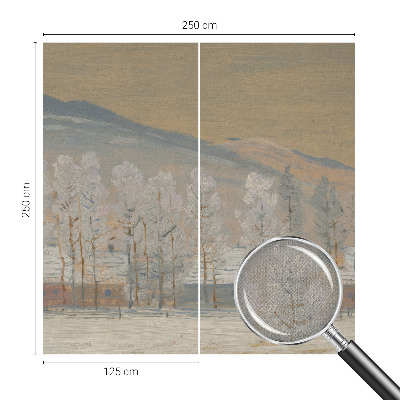 3D fototapeta z zimsko pokrajino