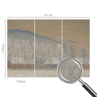 3D fototapeta z zimsko pokrajino