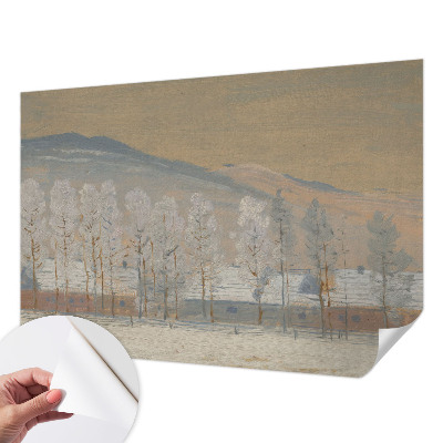 3D fototapeta Zimska pokrajina