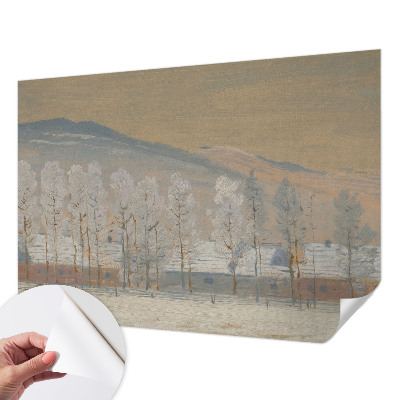 3D fototapeta Zimska pokrajina
