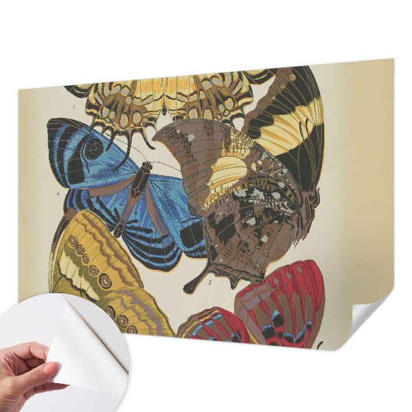 Fototapeta za otroško sobo Navdih za metulje