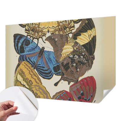 Fototapeta za otroško sobo z motivom navdiha za metulje