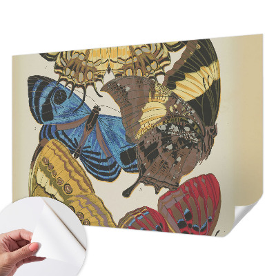 Fototapeta za otroško sobo Navdih za metulje