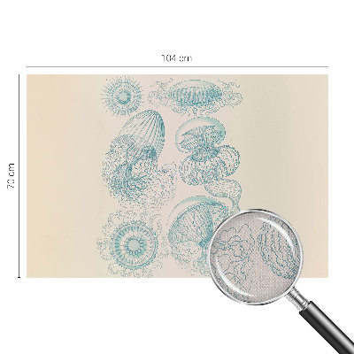 Samolepilna fototapeta z motivom morskih meduz