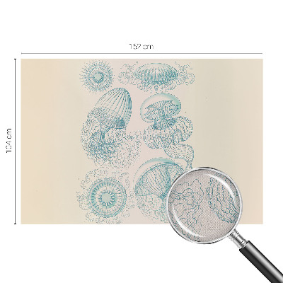 Samolepilna fototapeta z motivom morskih meduz