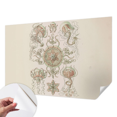 Samolepilna fototapeta za dnevno sobo Podvodni svet