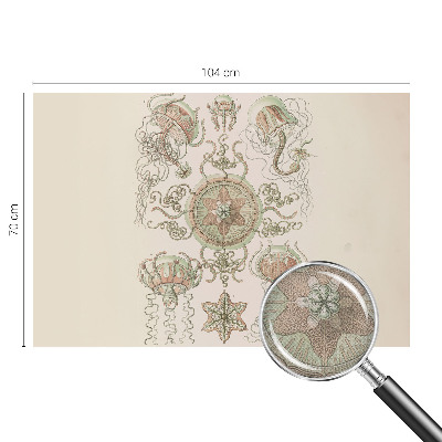 Samolepilna fototapeta za dnevno sobo Podvodni svet