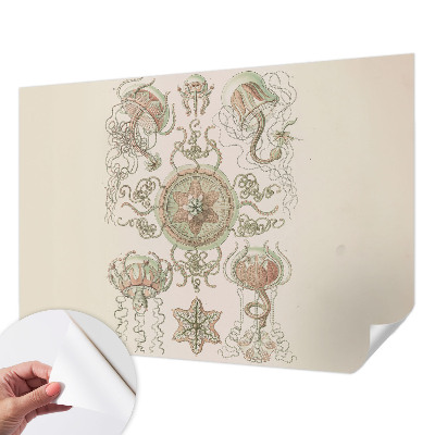 Samolepilna fototapeta za dnevno sobo Podvodni svet