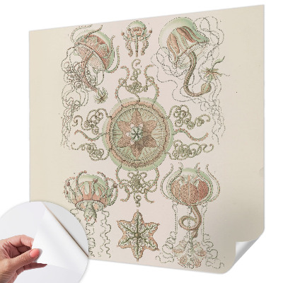 Samolepilna fototapeta za dnevno sobo Podvodni svet