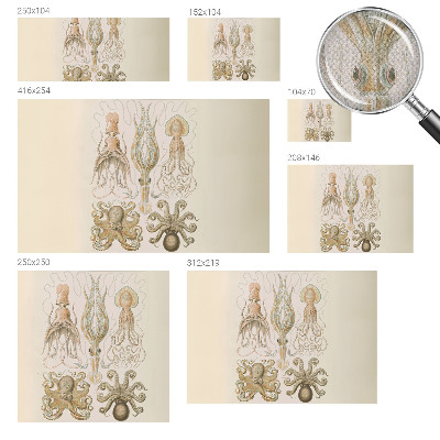 Samolepilna fototapeta Morsko življenje