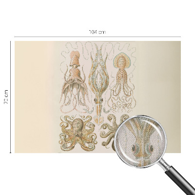 Samolepilna fototapeta Morsko življenje