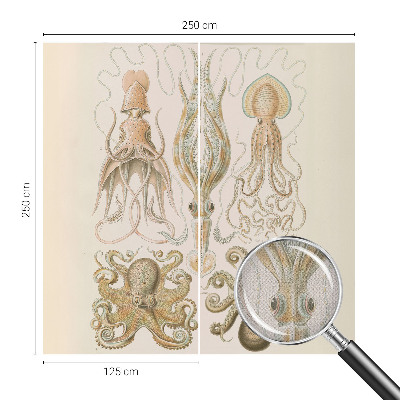 Samolepilna fototapeta Morsko življenje