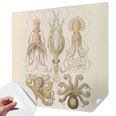 Samolepilna fototapeta Morsko življenje