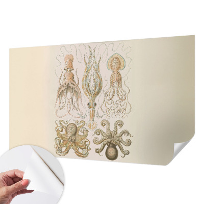 Samolepilna fototapeta Morsko življenje