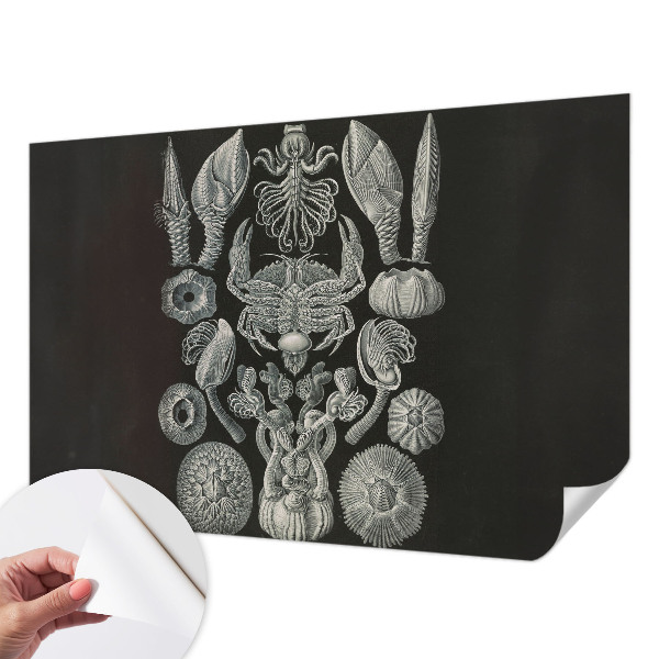 Samolepilna fototapeta za dnevno sobo Podvodne oblike