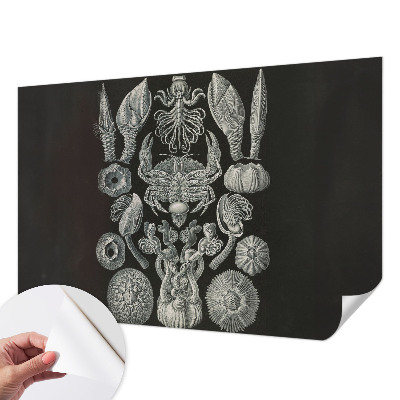 Samolepilna fototapeta za dnevno sobo Podvodne oblike