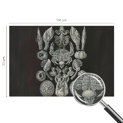 Samolepilna fototapeta za dnevno sobo Podvodne oblike