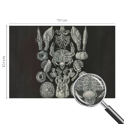 Samolepilna fototapeta za dnevno sobo Podvodne oblike