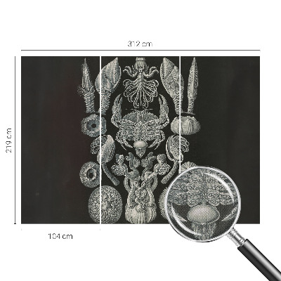 Samolepilna fototapeta za dnevno sobo Podvodne oblike