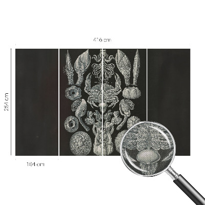 Samolepilna fototapeta za dnevno sobo Podvodne oblike