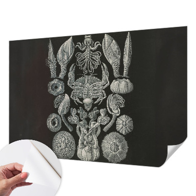 Samolepilna fototapeta za dnevno sobo Podvodne oblike