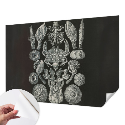 Samolepilna fototapeta za dnevno sobo Podvodne oblike