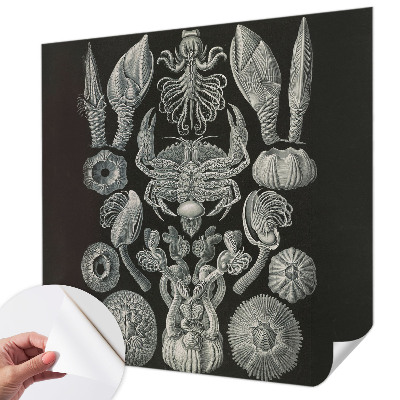 Samolepilna fototapeta za dnevno sobo Podvodne oblike