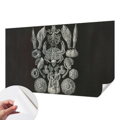 Samolepilna fototapeta za dnevno sobo Podvodne oblike