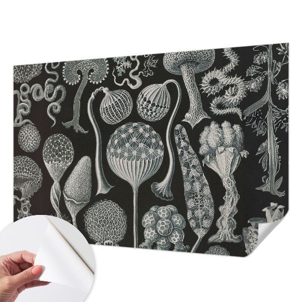 Samolepilna fototapeta za spalnico z motivom čarobnih rastlin
