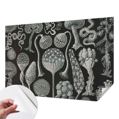 Samolepilna fototapeta za spalnico z motivom čarobnih rastlin