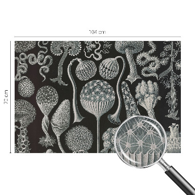 Samolepilna fototapeta za spalnico Čarobne rastline