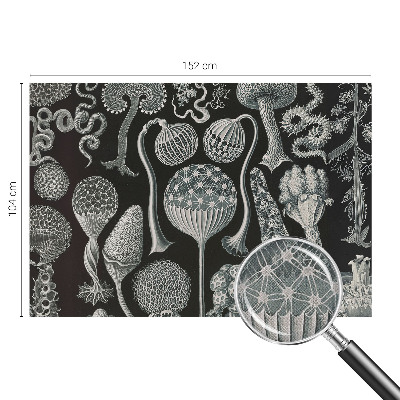 Samolepilna fototapeta za spalnico z motivom čarobnih rastlin