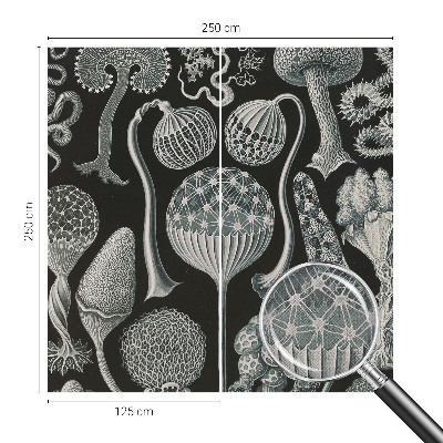 Samolepilna fototapeta za spalnico Čarobne rastline