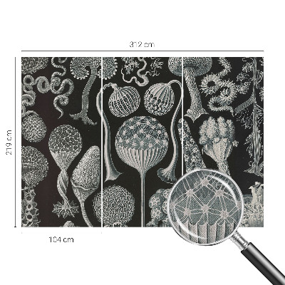 Samolepilna fototapeta za spalnico Čarobne rastline