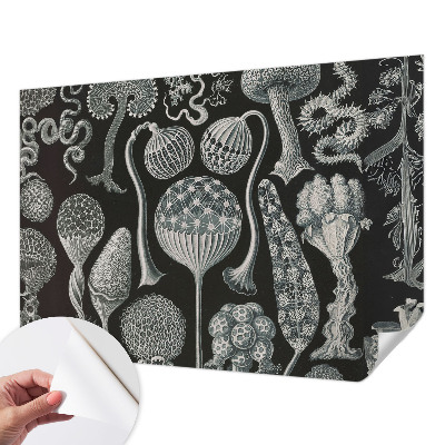 Samolepilna fototapeta za spalnico z motivom čarobnih rastlin