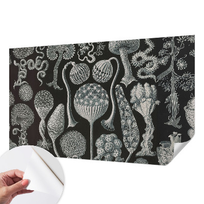 Samolepilna fototapeta za spalnico Čarobne rastline