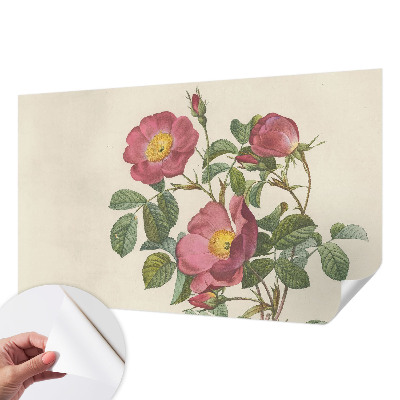 3D fototapeta Motiv vrtnice