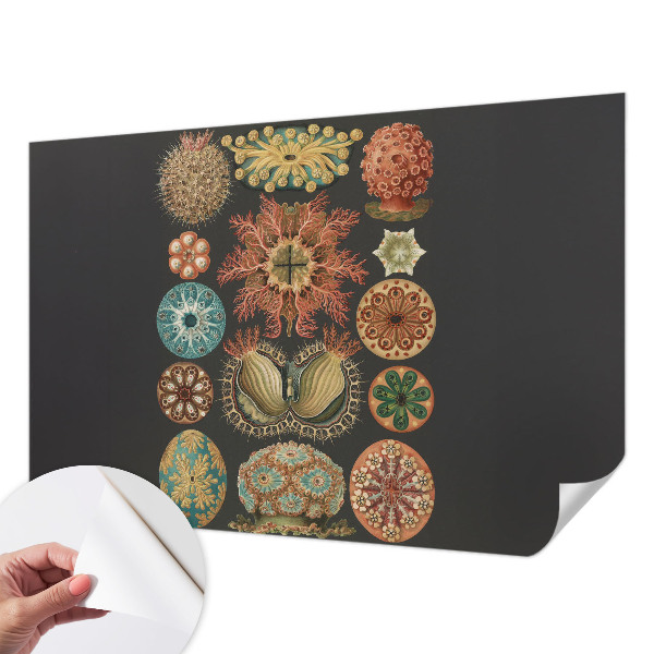 Samolepilna fototapeta Morski navdihi